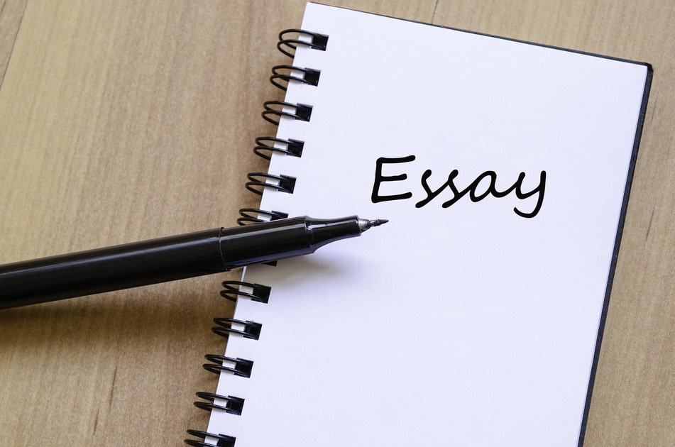 bài essay