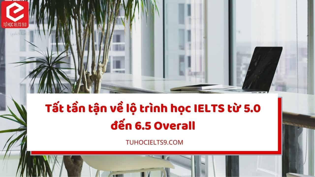 lộ trình ielts 6.5