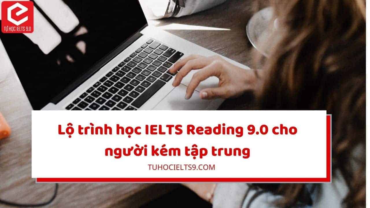 lộ trình ielts reading