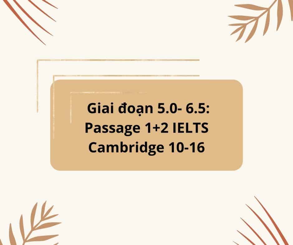 3 Gian đoạn "thần thánh" giúp bạn nâng band IELTS Reading hiệu quả 2 2 1