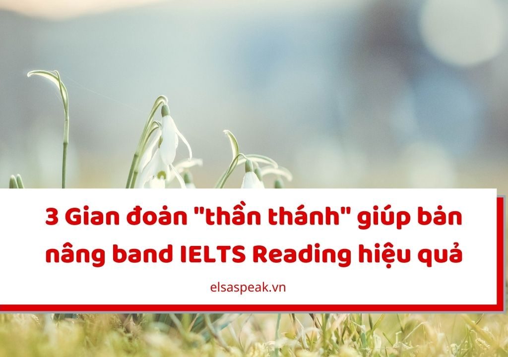 nâng band IELTS Reading hiệu quả